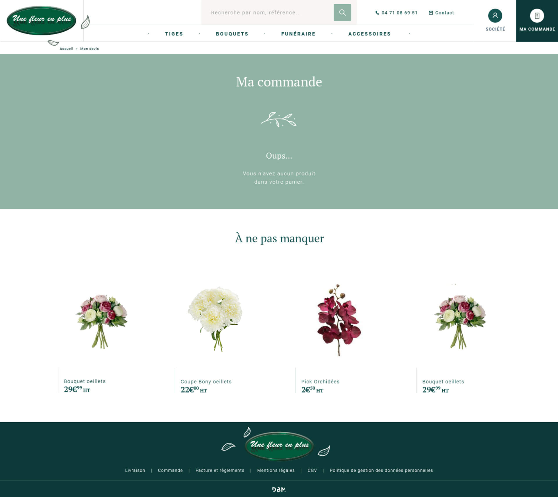 Empty Cart page